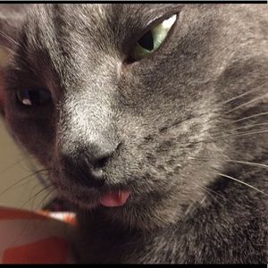 Meet your Posher, Joanie